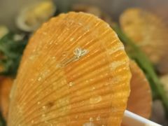 -土蚝·高压锅生蚝(百姓美食街店)