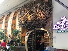 -大灰狼(中心书城店)