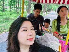 -黄海国家森林公园