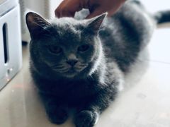 -平行世界·猫咖(首经贸店)
