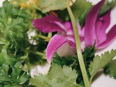 -小土豆北方菜馆(文慧园店)