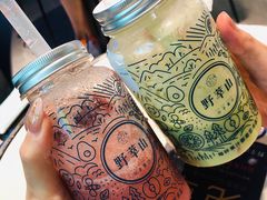 -野萃山·潮汕厚果汁(十亩地店)
