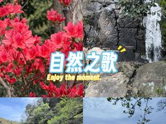 -莫干山风景区