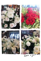 -伊诺摄影(徐州优选店)