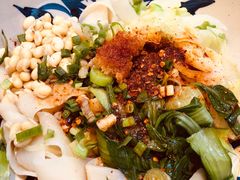 -北往西·西安油泼面(万德庄店)