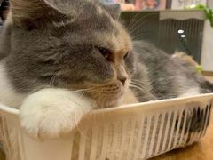 -藦茜花园宠物主题亲子互动体验馆(国顺东路店)