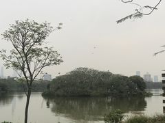 -海珠湖公园