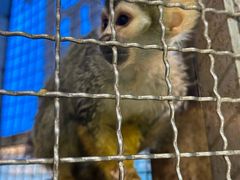 -成都浩海立方海洋公园