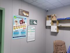 -半岛宠物医院24小时(科华中路店)
