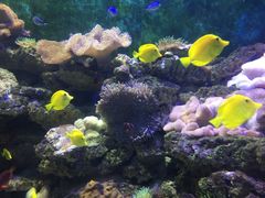 -多彩贵州城极地海洋世界