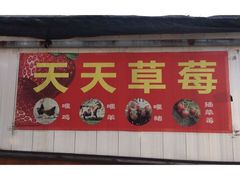 -青浦采草莓天天草莓园