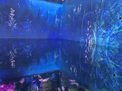 -中国湿地博物馆