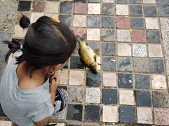 -酷鱼垂钓CLUB(朝阳区博大路店 )