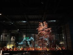 -C&R西班牙餐厅