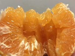 -江杨农产品批发市场