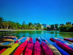 -WhaleSports户外水上运动俱乐部(朝阳公园店)