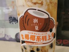 生椰汁丸丸-树夏(建设路店)