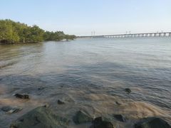 -宝安西湾红树林湿地公园