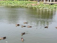 -前关湿地公园