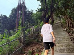 -小南山公园