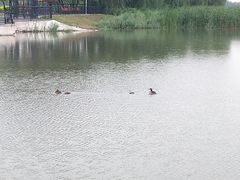 -卧龙湖