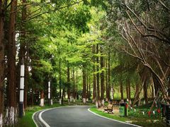 -苏州河梦清园环保主题公园