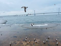 -星海广场