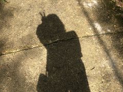 -千泷沟大瀑布旅游区