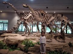 -自贡恐龙博物馆