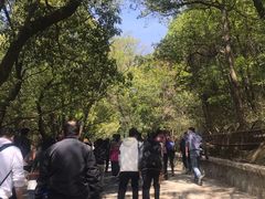 -灵岩山风景区