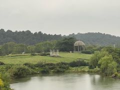 -大塘金香草谷