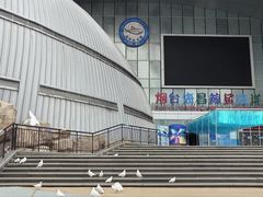 -烟台海昌鲸鲨海洋公园