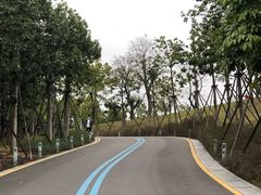 -飞凤山奥体公园