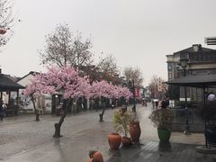 -中国丝业博物馆