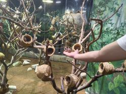 -Zoolung Zoolung动物主题公园(海信广场店)