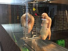 -九头鹰家宴(岳家嘴店)