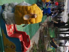 -小鱼草莓采摘园农家乐·小鱼餐厅
