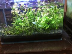 -嘎嘎鸭下巴·爆辣干锅(明教寺店)