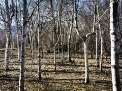 -长春世界雕塑园冰雪艺术天地