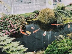 -罗红摄影艺术馆