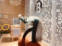 -BABIT巴比特宠物(MOMOPARK店)