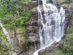 -海南热带雨林国家公园吊罗山景区