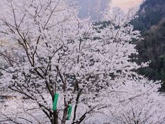 -高岚大峡谷旅游度假区
