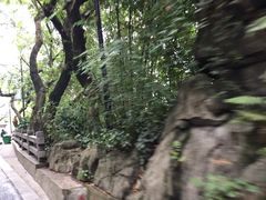-白云山风景名胜区
