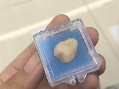 -天使口腔门诊部(上海店)