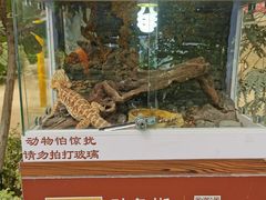 -南宫五洲植物乐园