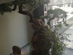 -潮上潮(南中环店)