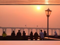 -宝安西湾红树林湿地公园