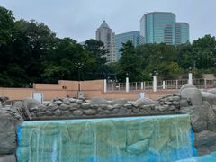 -九龙公园