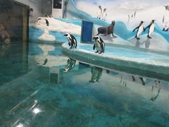 -洛阳龙门海洋馆